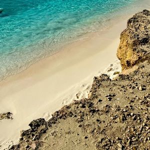 Meet your Posher, Alli